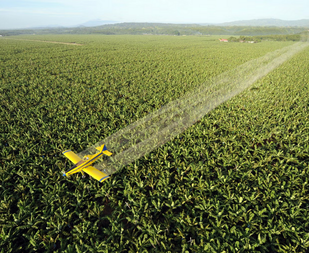 Certificate Of Analysis (COA)