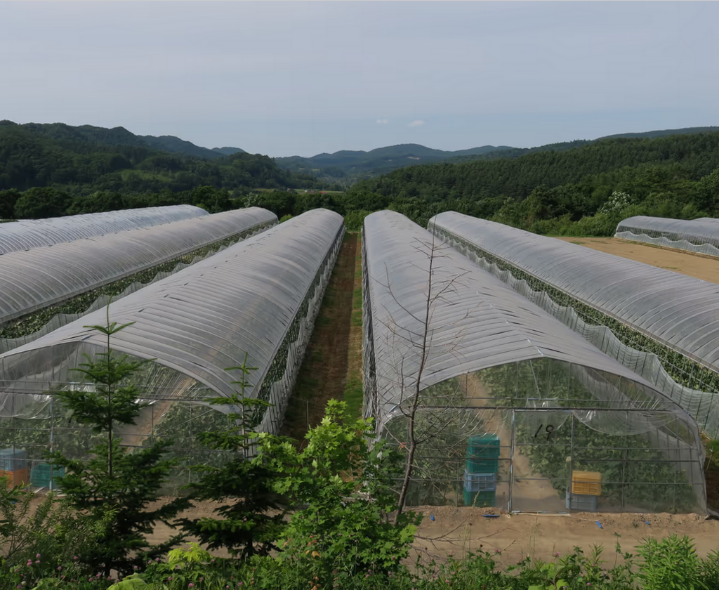 Materials Safety Data Sheet (MSDS)